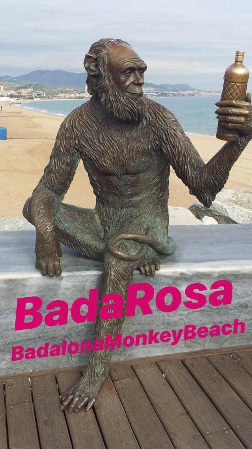 Badarosa 2 House10Min To Barceloncity&Nearto Beach Бадалона Экстерьер фото